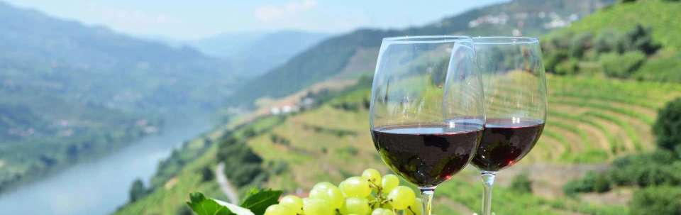 Walks and Wine Tasting in Spain and Portugal - undefined - Image 13