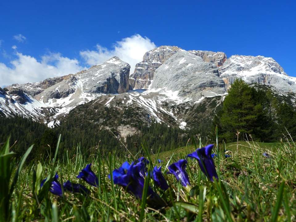 Walks in the Italian Dolomites - Exodus Adventure Travels - Italy - Image 4
