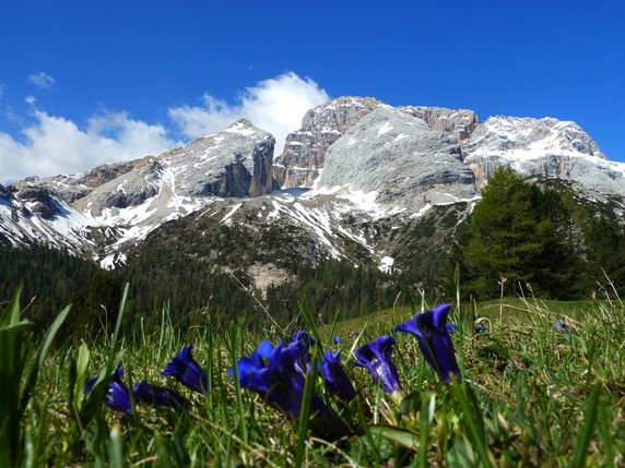 Image 4 of 9