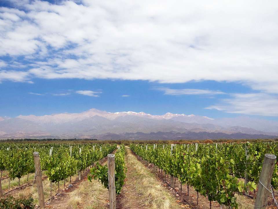 Waterfalls Wine & Wilderness - 14 days - On The Go Tours - Argentina - Image 2