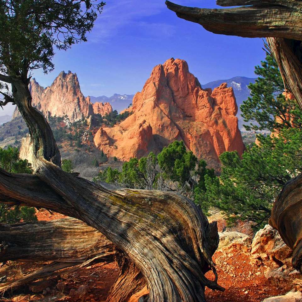 Welcome to Colorado - Trafalgar - USA - Image 5