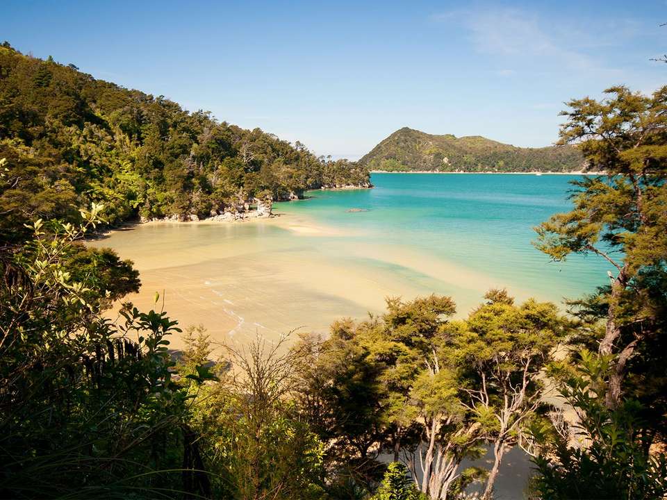 Wellington & South Island - 14 days - On The Go Tours - New Zealand - Image 3