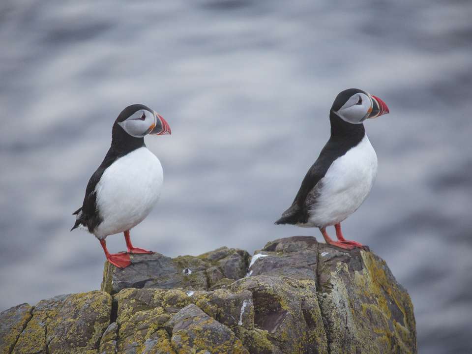 Wellness Iceland - G Adventures - Iceland - Image 1