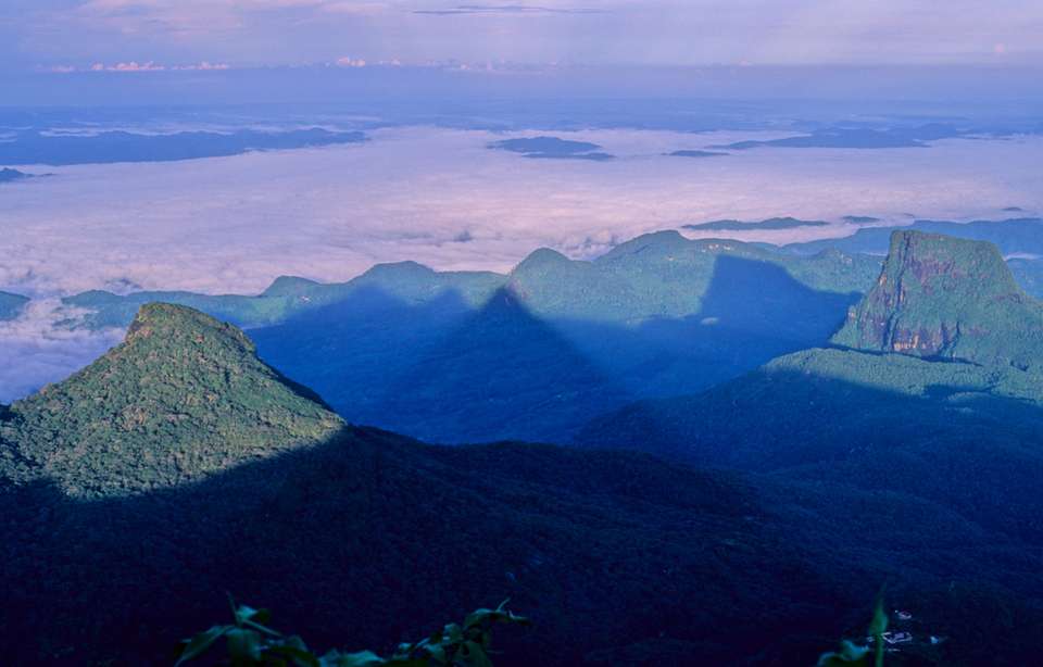 Wellness Luxury Tour: Yoga Retreats in Sri Lanka - undefined - Image 8