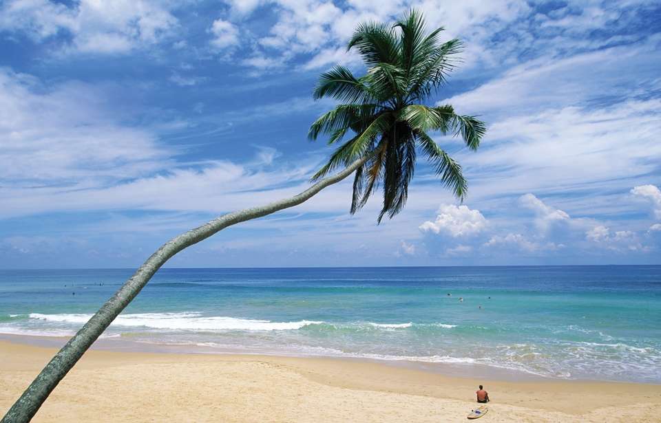 Wellness Luxury Tour: Yoga Retreats in Sri Lanka - undefined - Image 9