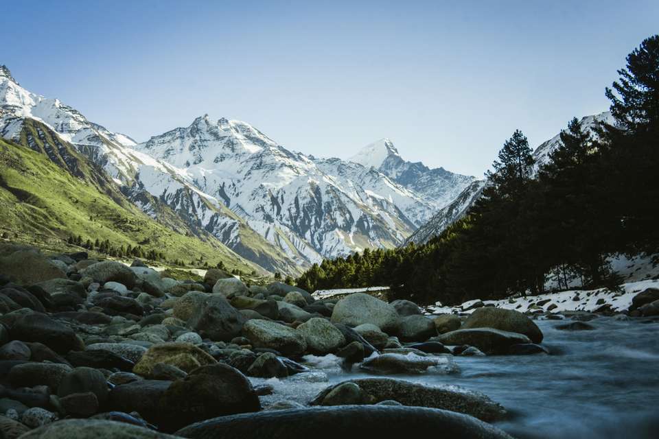 Wellness Retreat India Luxury Tour Packages - Tweet World Travel - India - Image 6