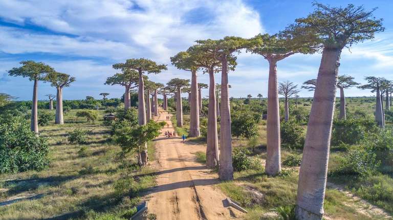 West and East tour of Madagascar trip - alternative tour available