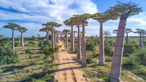 West And East Tour Of Madagascar - November 2026