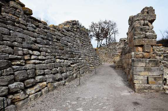 Image 2 of 7