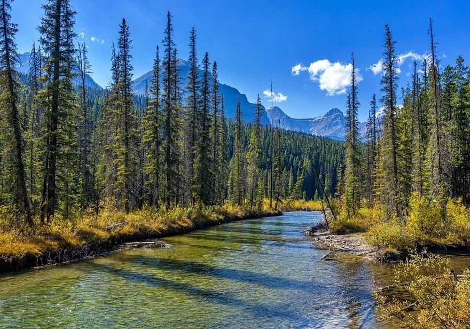 Western Canada Discovery - Indus Travels - Canada - Image 5