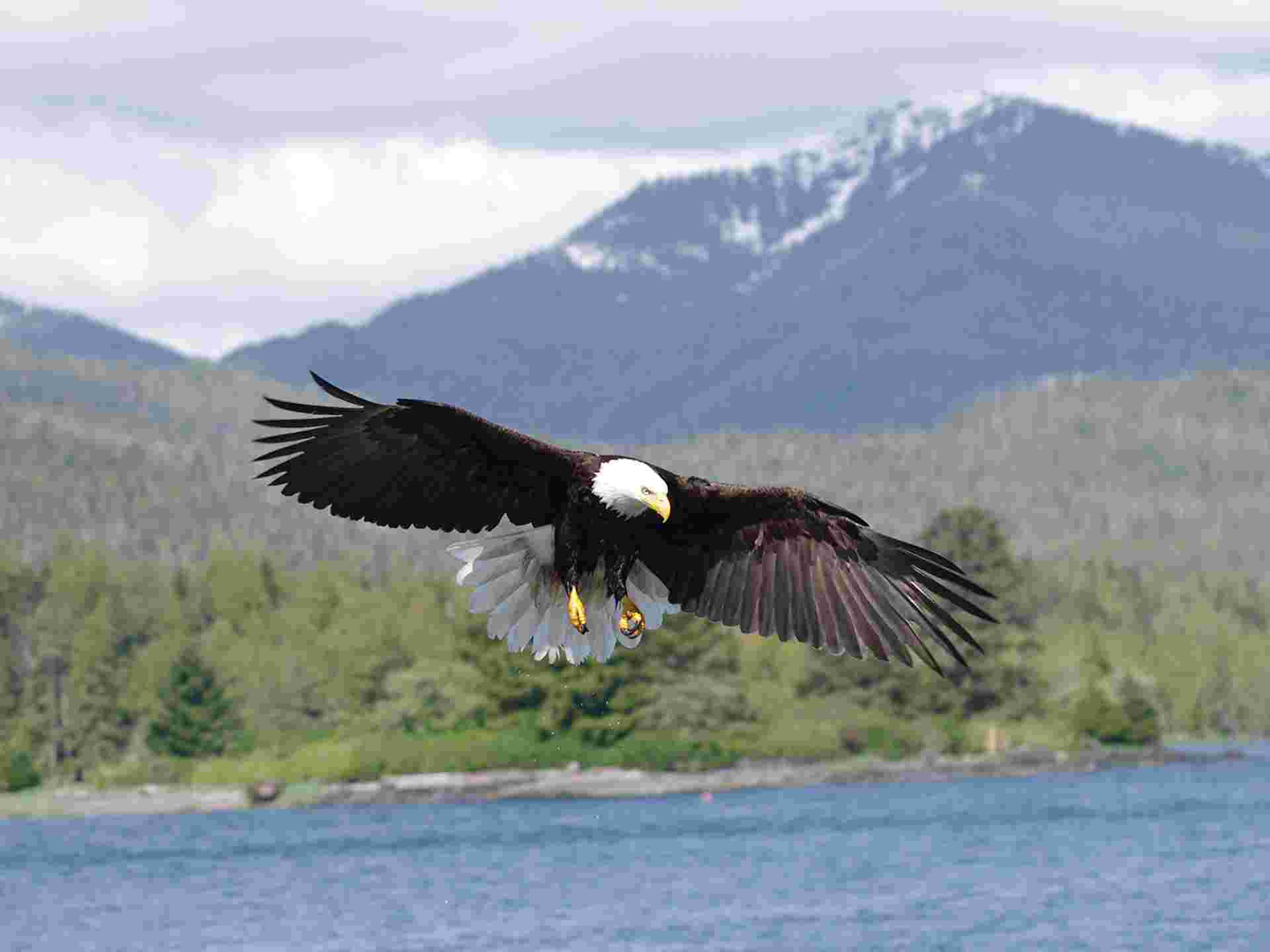 Western Canada Encompassed - 16 days