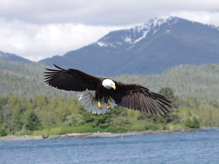 Western Canada Encompassed - 16 days - 16 days