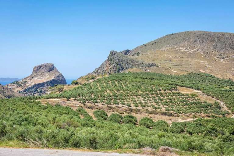 Western Crete With Winery And Olive Oil Estate Tour trip - alternative tour available