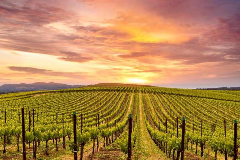 Western Frontiers - California Highlights trip - alternative tour available