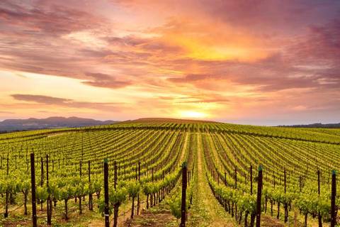 Los Angeles Adventure Tour: Western Frontiers - California Highlights