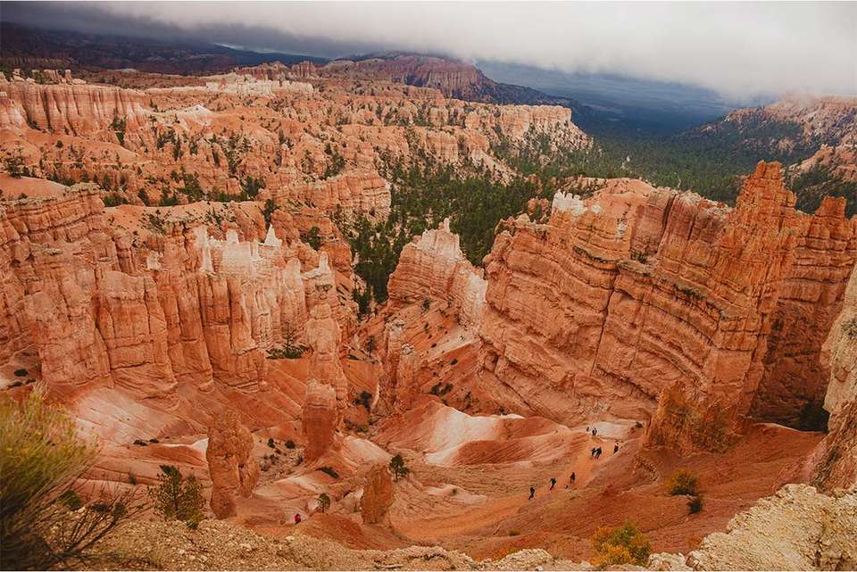 Western USA National Parks Loop - Intrepid Travel - USA - Image 3