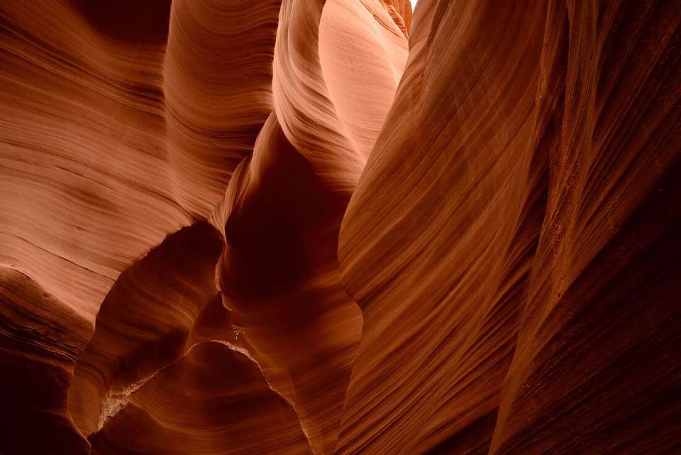 Western USA National Parks Loop - Intrepid Travel - USA - Image 4