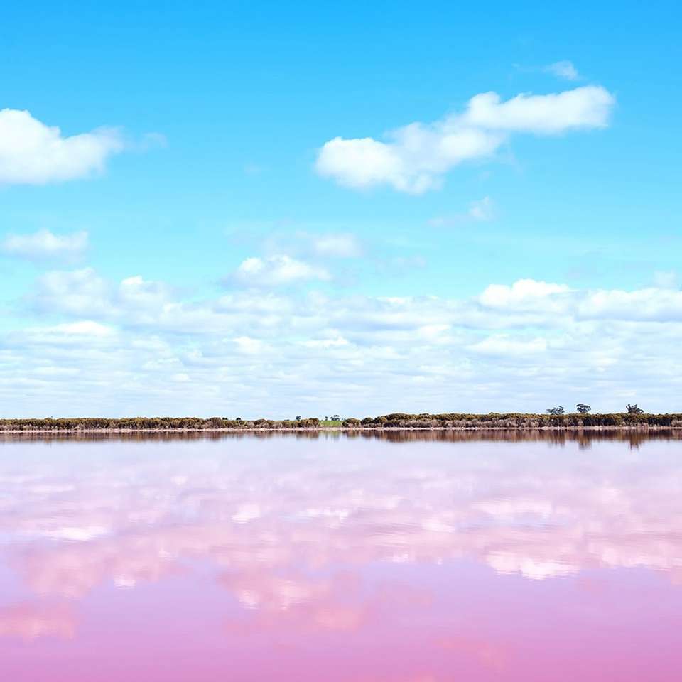 Western Wonderland - Aat Kings - Australia - Image 6