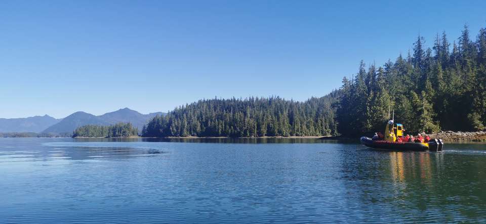 Whales & Bears of British Columbia - Exodus Adventure Travels - Canada - Image 19