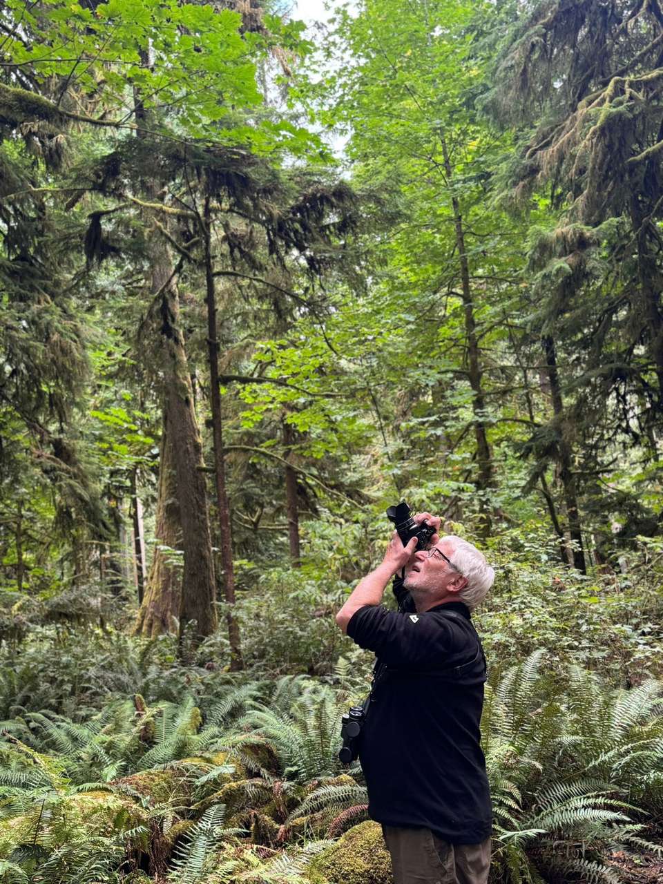 Whales & Bears of British Columbia - Exodus Adventure Travels - Canada - Image 12