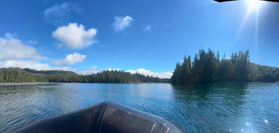 Whales & Bears of British Columbia - Exodus Adventure Travels - Canada - Image 6