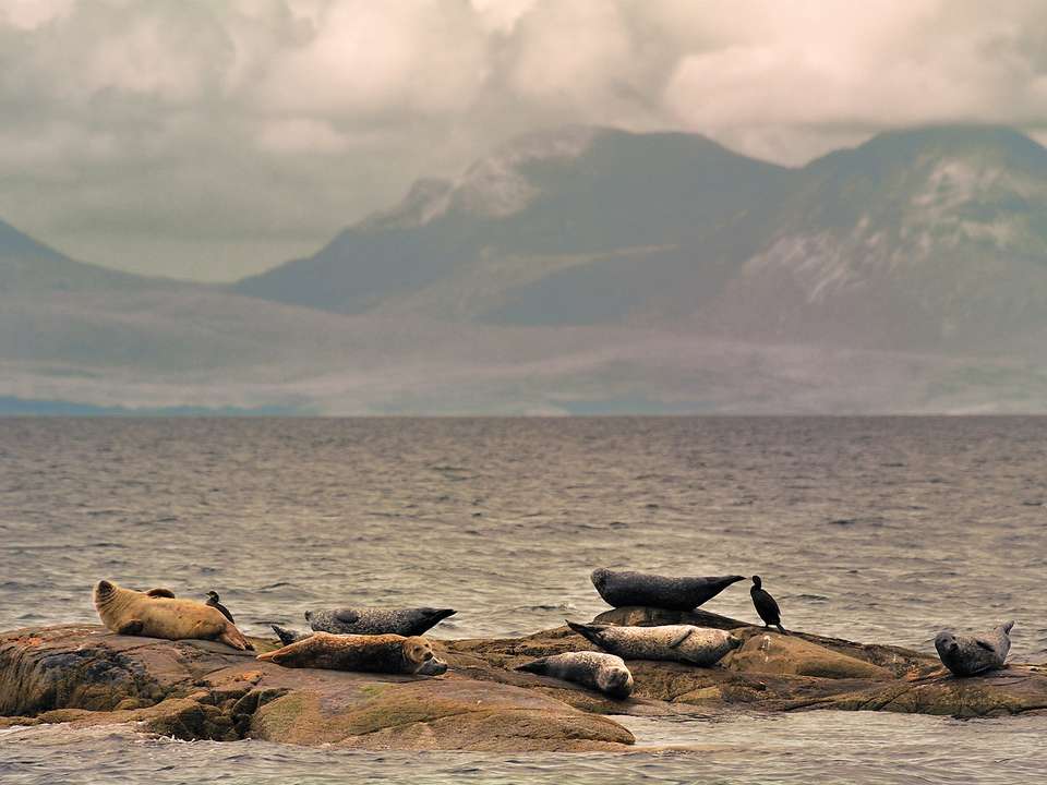 Whisky Coast & Scottish Islands  - 12 days - On The Go Tours - Scotland