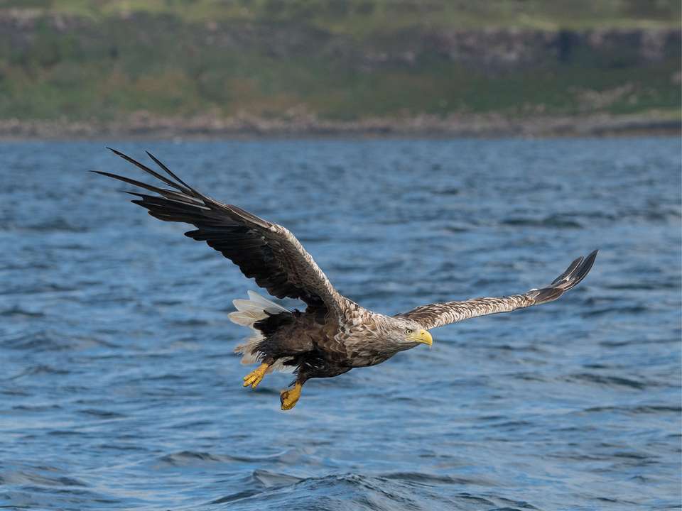 Whisky Coast & Scottish Islands  - 12 days - On The Go Tours - Scotland