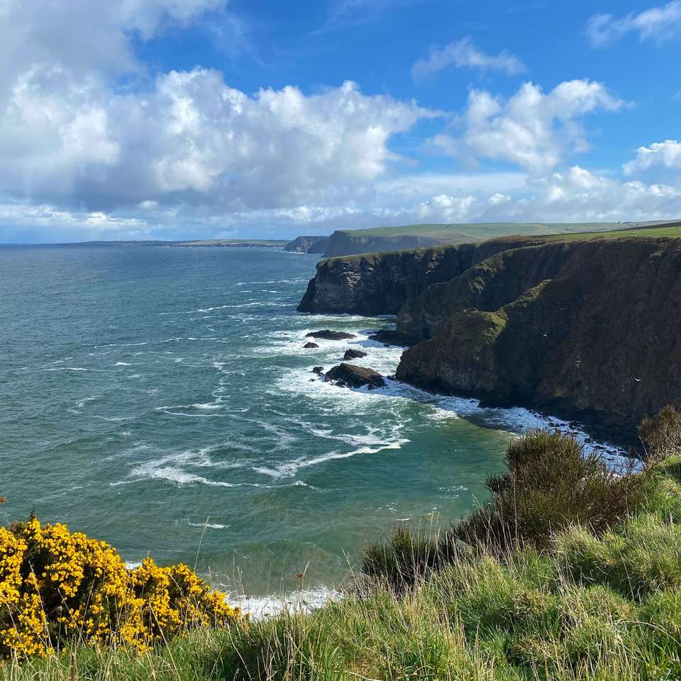 Whisky, Coasts and Wildlife - undefined - Image 3