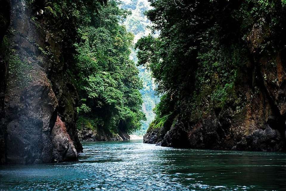 White Water Rafting Pacuare River Full Day Tour From San Jose - Destination Services - Costa Rica - Image 6