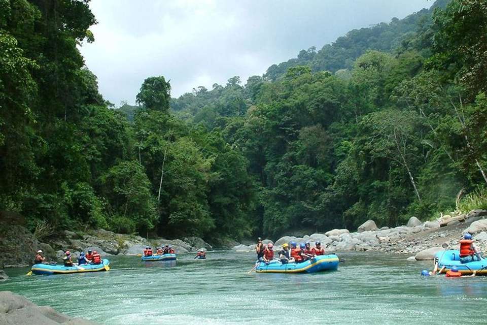 White Water Rafting Reventazón River From Puerto Viejo De Talamanca (limón) - undefined - Image 7