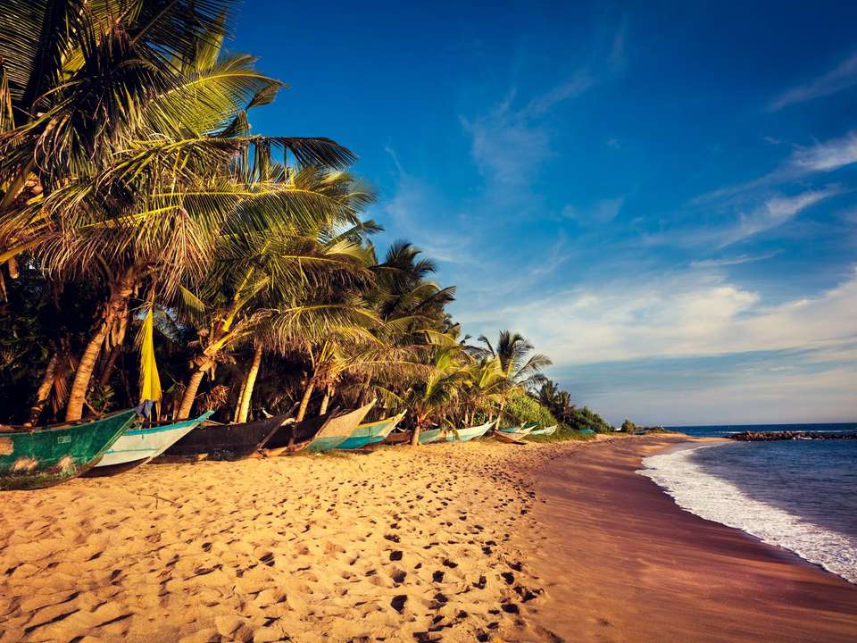 Wild About Sri Lanka - 10 days - On The Go Tours - Sri Lanka - Image 7