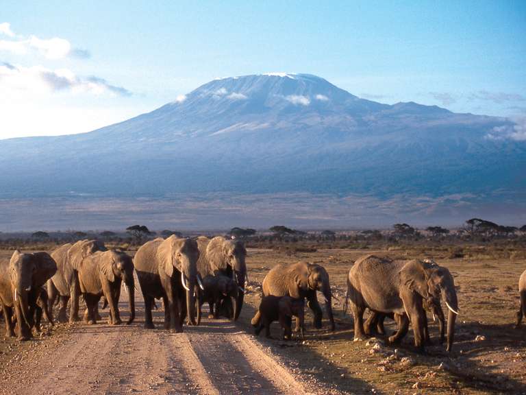 Wild About Tanzania - 10 days trip - alternative tour available