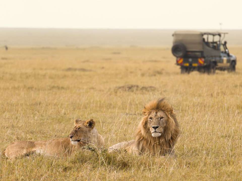 Wild About Tanzania - 10 days - On The Go Tours - Tanzania - Image 5