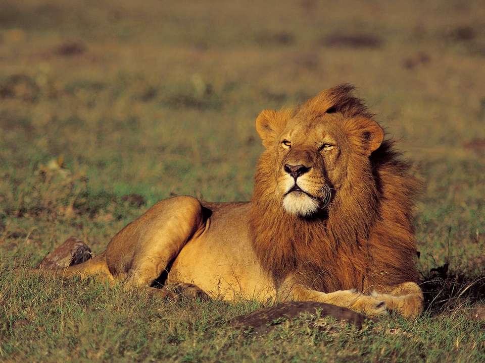 Wild About Tanzania - 10 days - On The Go Tours - Tanzania - Image 6