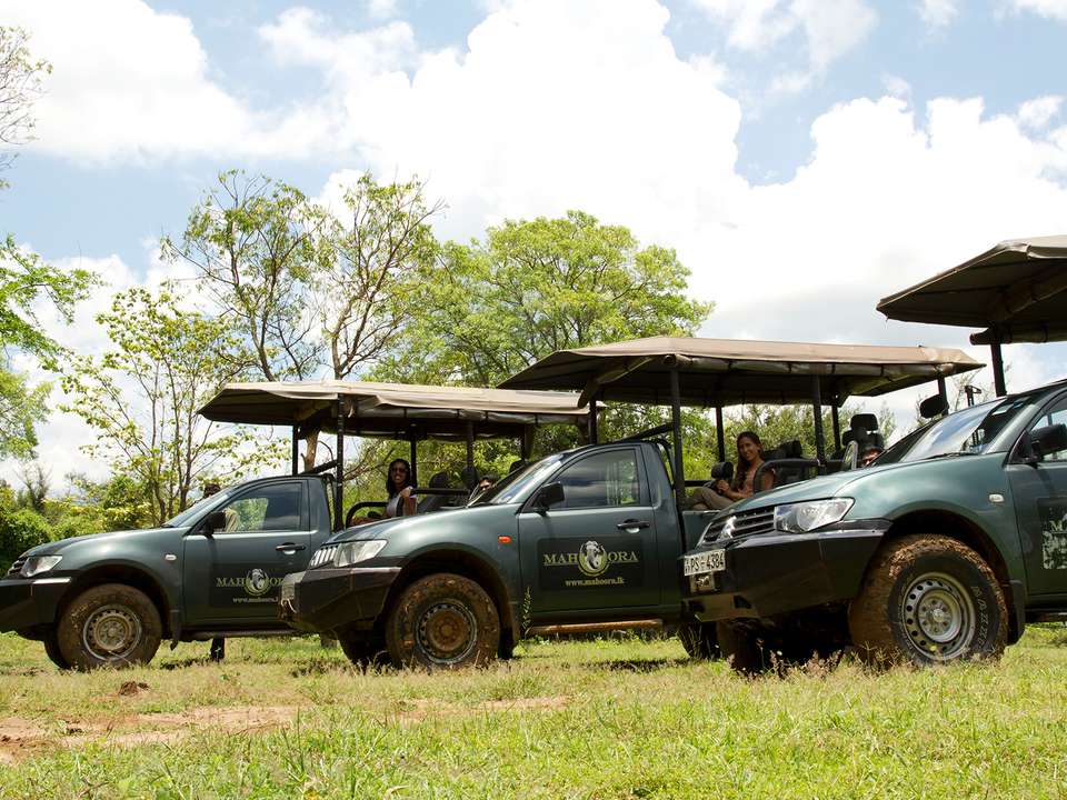 Wild About Wilpattu - 10 days - On The Go Tours - Sri Lanka