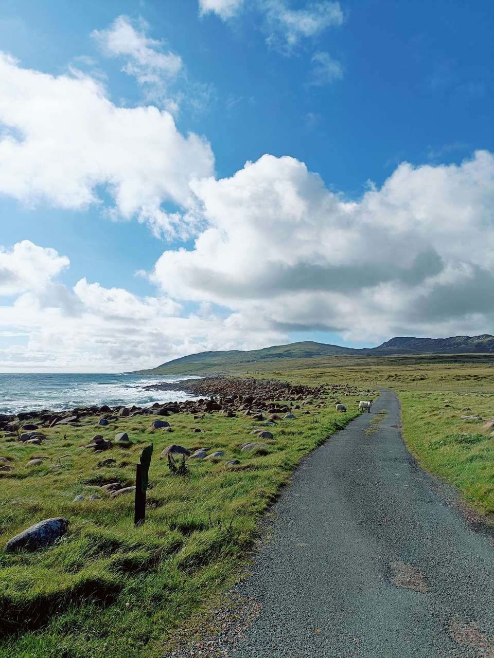 Wild Atlantic Way: Discovering Ireland’s Coastal Beauty - Bamba - Ireland - Image 3