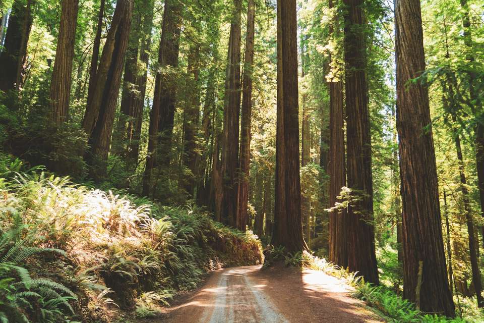 Wild California Explorer - 8 days - On The Go Tours - USA - Image 6