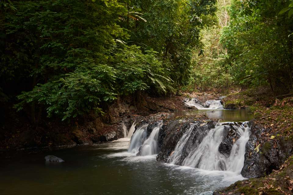 Wild Costa Rica – Premium Adventure - Exodus Adventure Travels - Costa Rica - Image 10