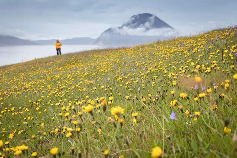 Wild Fjords of South Greenland: Land of the Vikings - undefined - Image 2