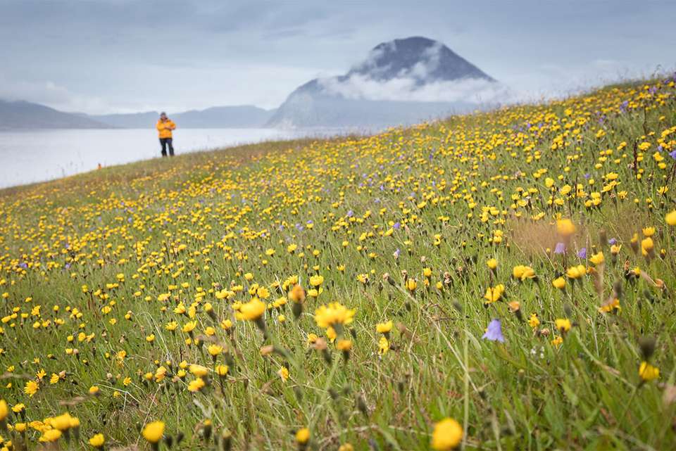 Wild Fjords of South Greenland: Land of the Vikings - undefined - Image 2