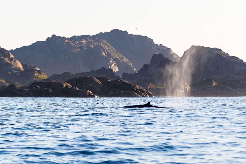 Wild Fjords of South Greenland: Land of the Vikings - undefined - Image 5