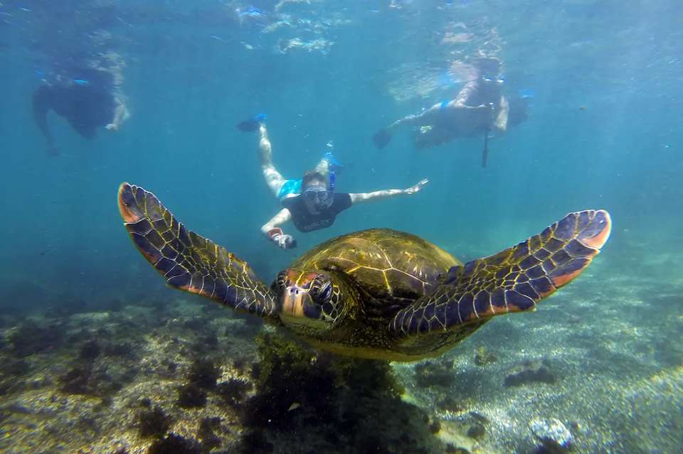 Wild Galapagos & Amazon - 10 days - On The Go Tours - Ecuador - Image 3