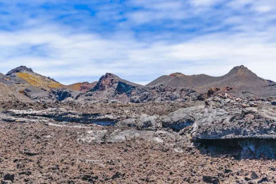 Wild Galapagos & Amazon - 10 days - On The Go Tours - Ecuador - Image 4