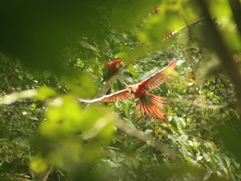 Wild Galapagos & Amazon - 10 days - On The Go Tours - Ecuador - Image 7