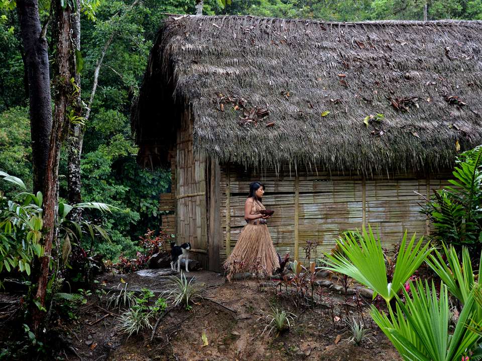 Wild Galapagos & Amazon - 10 days - On The Go Tours - Ecuador - Image 8