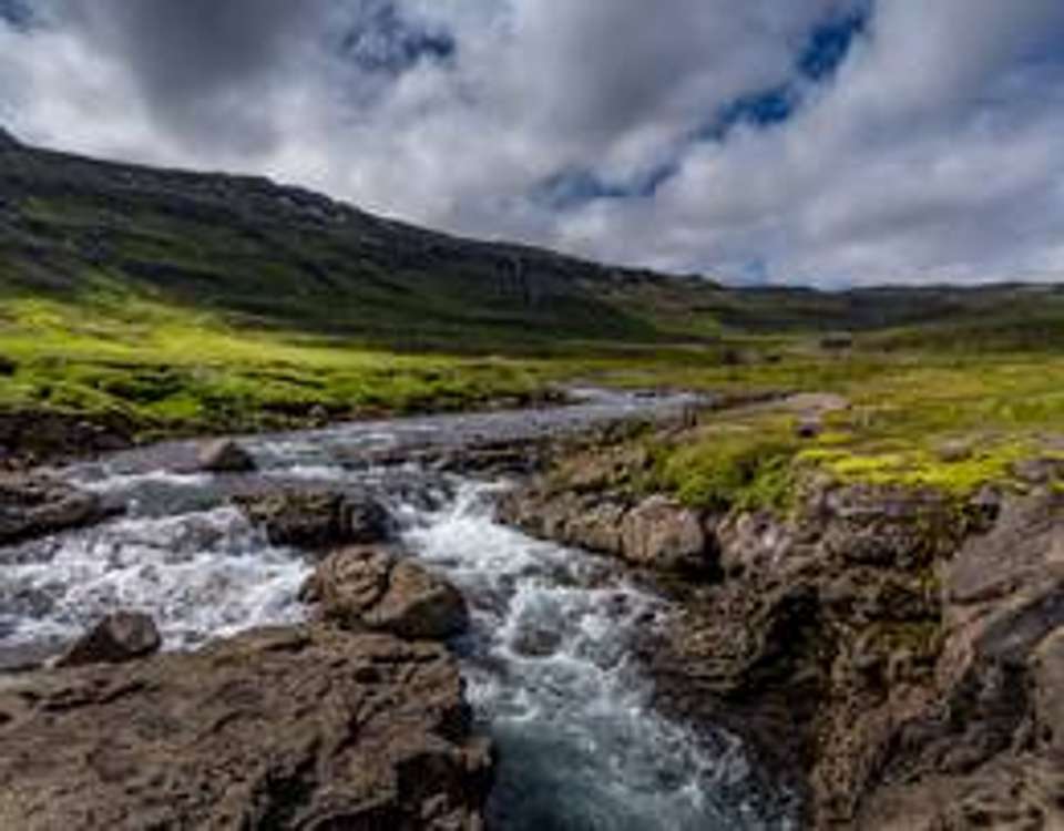 Wild Iceland & Whale Watching - 8 days - On The Go Tours - Iceland - Image 14