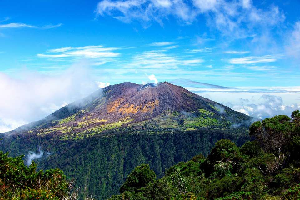 Wild Jungles And Secret Mountains Of Costa Rica (on Request) - Destination Services - Costa Rica - Image 8