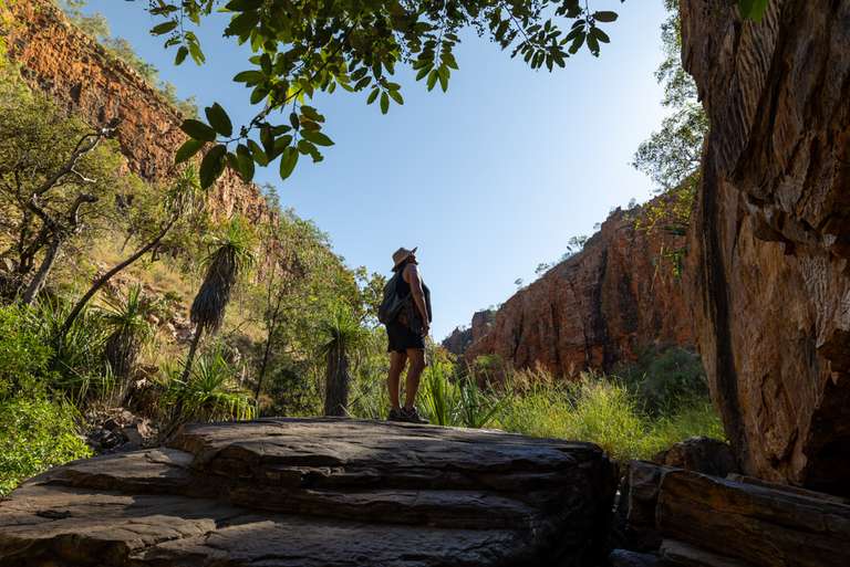 Wild Kimberley Overland trip - alternative tour available
