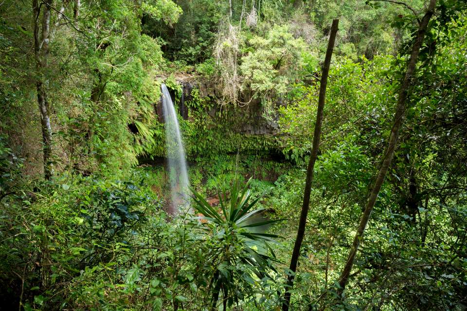 Wild Madagascar - Exodus Adventure Travels - Madagascar - Image 19
