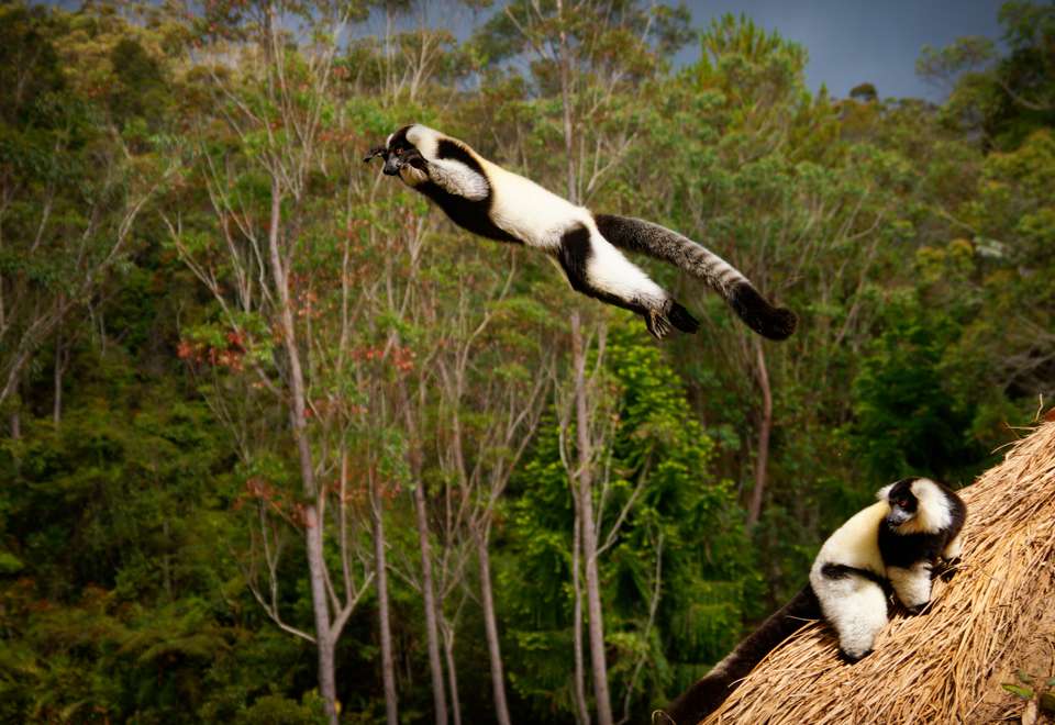 Wild Madagascar - Exodus Adventure Travels - Madagascar - Image 12